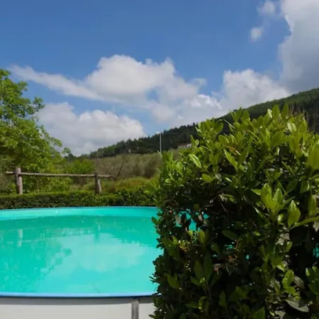 Palaia Con Piscina *